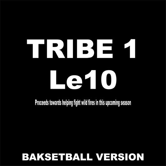 TRIBE 1 Bball